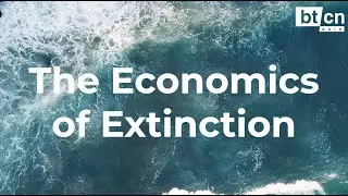 The Economics of Extinction: Phytoplankton