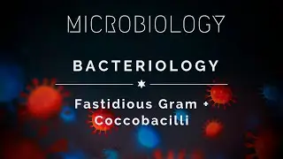 Bacteriology | Fastidious Gram + | Coccobacilli