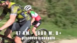 PROMO DA PIAZZA A PIAZZA 2025