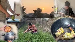 Village style cooking squash Curry & beans Dal in Village Style || Organic Video 