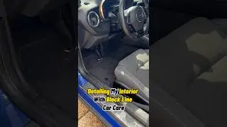 Detailing My Interior With Blackline Car Cares New Products !
