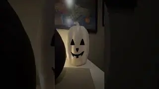 Moody Moments | Halloween 2025