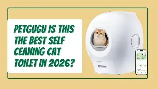 PETGUGU Smart Auto-Flush Cat Toilet Review | No Scooping, No Smell!