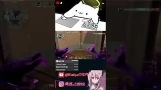 #无畏契约 #特戰英豪 #valorant #raiya #tft #apex #twitter #gaming #raiyahiiragi #聯盟戰棋