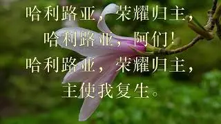 赞我天父歌 新编赞美诗 004首