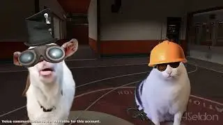 Goat and Cat Meme TF2