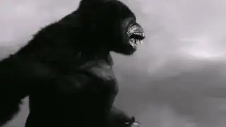 Kong 2021 Vs Kong 2020!