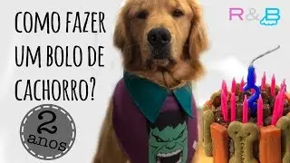 BOLO de ANIVERSÁRIO CANINO