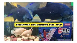 Esselworld Fish Paradise🐟🐠🤩 full tour with us