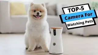 ✅ Best Camera for Watching Pets: Camera for Watching Pets (Buying Guide)