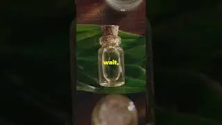 Unlock the Magic of Sage Essential Oil!
