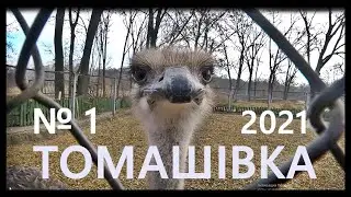 № 1 ТОМАШІВКА