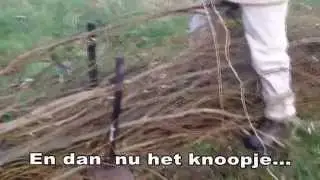 Handleiding wilgentakken bossen met speciale knoop