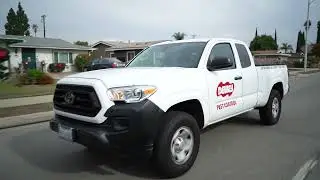 Termite Treatment Services from California's Best Termite Control Company - Termites 101