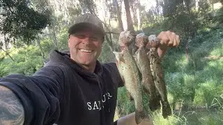 CATCH and COOK RAINBOW TROUT!! #rainbowtrout #trout #catchandcook