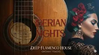 IBERIAN NIGTHS Spanish Guitar Organic Deep House Flamenco Chill Ethno Ethnic - Se&ntilde;or B in SESSION