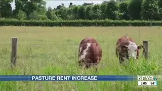 Pasture rent prices in North Dakota on the rise