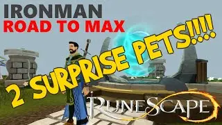 2 Pets I Didn't Expect To Get!!! - Ironman Road To Max #50