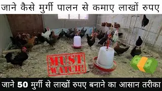 50 मुर्गियों से लाखों कैसे कमाएँ? | Desi Murgi Farming का सबसे फायदेमंद तरीका #poultryfarming