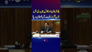 Talal Chaudhry vs Palwasha Khan | Exchange of heated argument in Senate Session | 365 News