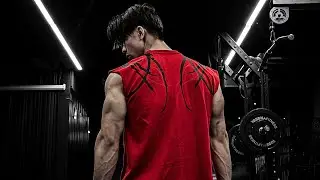 Chest Workout | Hindi Vlog