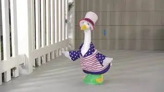 Patriotic Baby Goose Outfit | Gaggleville&reg;