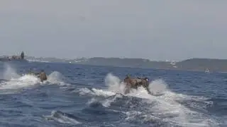 Navy and Marine Corps Joint Training Operations Aboard USS Ohio (SSGN 726)