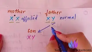 Class 10 Biology || Genetics - Mendelian Inheritance