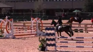CLAUDETTE BRYAN and LUCY Tryon Horse Show 10/22/2016