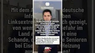Linke zeigen ihr wahres Gesicht! #shorts #afd #politik #berlin