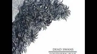 Lines Of Seperation   Dead Swans