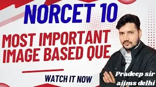 NORCET IMAGES BASED QUESTIONS -6*