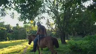 Pag-uula ng kabayo