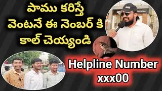 😳 పాము కరిస్తే ఎం చెయ్యాలి | Snake Bite Helpline #snakebite #medicalemergency #snake 