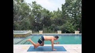 Core Exercises 1 - Table Top / Bear Plank