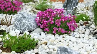 🔴🟡 🟢 Landscape Design Ideas. Alpine Garden and Rock Garden Decoration Ideas