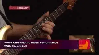Blues Guitar Performance By Stuart Bull | Electric Blues DVD Series Licklibrary