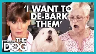 Dog Owner Turns Aggressive when Dogs Bark😱 | It's Me or The Dog