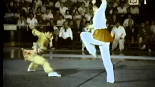 Single Broadsword -vs- Straight Sword Wushu Demonstration (单刀进剑)