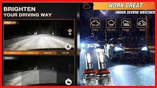 Upgrade Your Night Drive with H11 LED Headlight Bulbs &ndash; 350% Brighter and Easy to Install