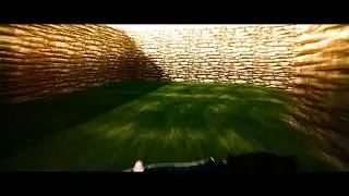 SPEEDRUN FLASH 250 FPS