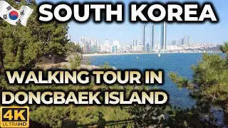 South Korea Tour : Tourist attraction in busan, Dongbaek Island (4K Walking tour)