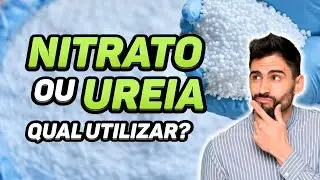 NITRATO ou UREIA, qual UTILIZAR?