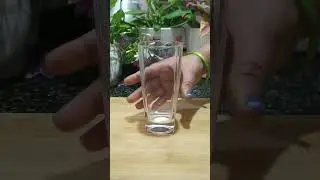 Jamun fizz without soda 💜🍋🌷 #youtube #shortvideo #food #shorts #viral #trending #homemade #youtuber