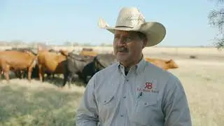 LNC RA Brown
