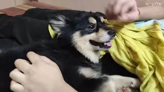 Coco Gori ke Sath bahut Masti karta hai