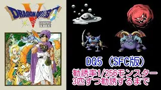 1/256の確率で仲間になるモンスター4種。SFC版ドラゴンクエスト5にて、3匹ずつ仲間にするのはどれだけ大変か（#5)　【配信】