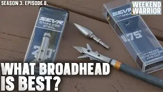 What Broadhead to Use for Deer vs. Turkey Hunting