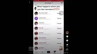 Hamster cult