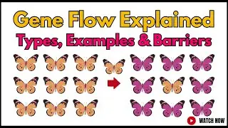 Gene Flow: Types, Examples & Barriers | Genetic Information Flow in Plants, Animals & Humans